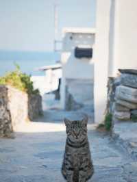 🇬🇷 Skip Santorini — Discover the Hidden Gem of Greece: Sifnos Island