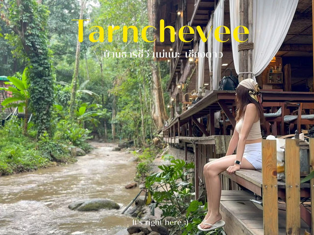 🌿 ธารชีวี แม่แมะ – หลงรักธรรมชาติในทุกลมหายใจ 🍃