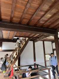🏯犬山城｜日本國寶級的小而美城堡體驗
