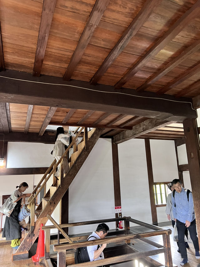 🏯犬山城｜日本國寶級的小而美城堡體驗