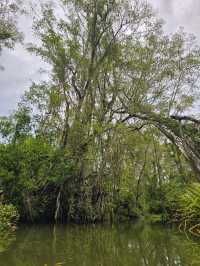 Jungle Cruise