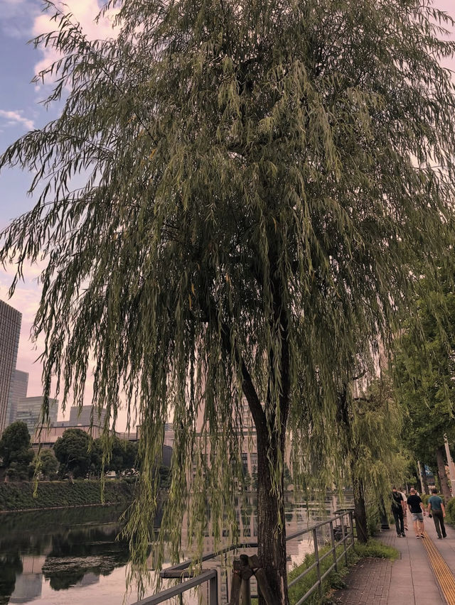 東京 皇居 👑🏯