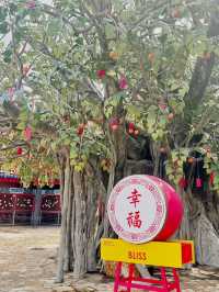What’s near Hong Kong Airport? Lantau island !
