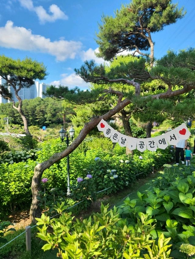 초록과 수국이 가득한 청주 대형카페
