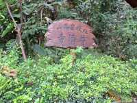 The beautiful views at Puji Temple, Beitou, Taipei, Taiwan