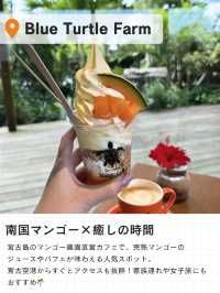 🌴宮古島で“食”を楽しむ旅、グルメ5選📍