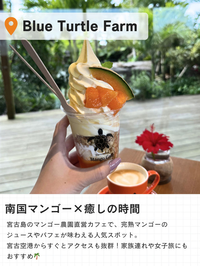 🌴宮古島で“食”を楽しむ旅、グルメ5選📍