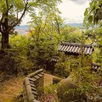 🌿 Secret Kyoto Escape: Sekiho-ji Temple – Fushimi Inari’s Quiet Neighbor