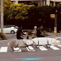 🌊 Solo Escape: Enoshima Day Trip – Beyond the Tourist Trail