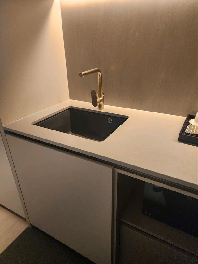 新加坡烏節路酒店推介