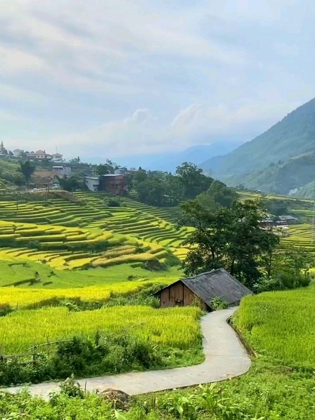 Layers of Peace – A Day in Lao Chai, Vietnam