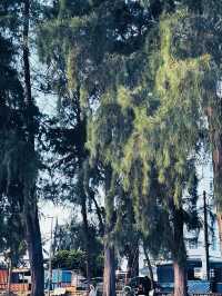 Golden Goodbye at Pantai Puteri