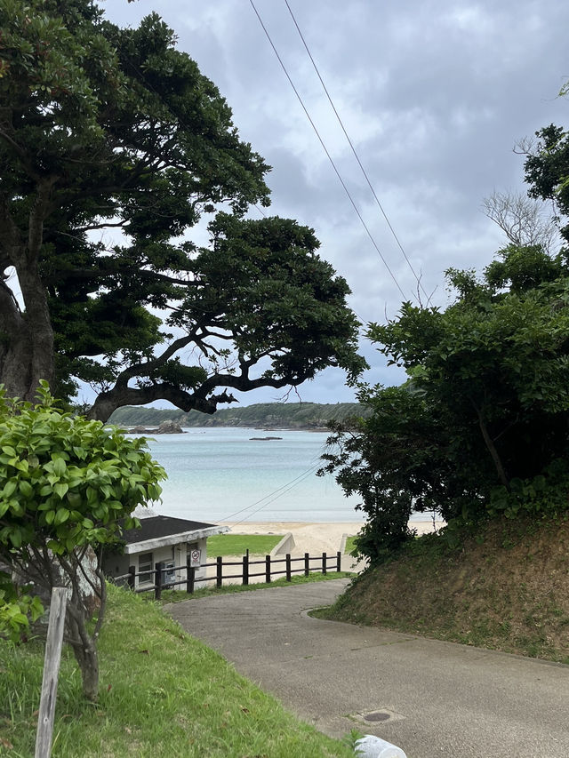 대마도 | 히타카츠 감성있는 여행지 3곳 추천 🏝️
