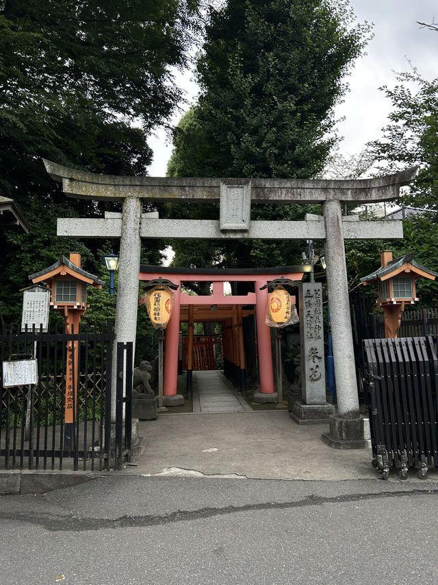 สวนอุเอโนะ (Ueno Park)