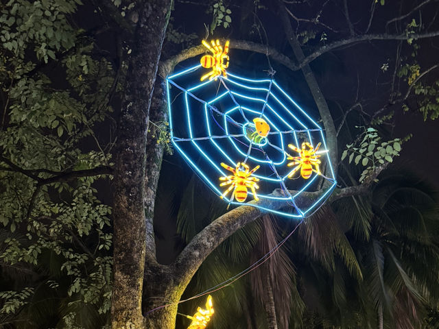 ✨ One Backpack, A Thousand Lights