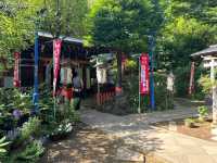 Ueno Park: A Peaceful Escape in the Bustling City