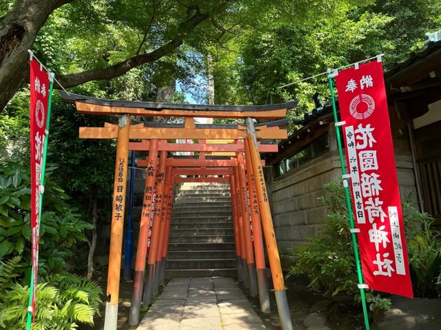 Amazing Ueno Park: Tokyo’s Timeless Treasure