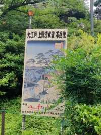 From Pandas to Petals: The Wonders of Ueno Park