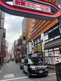 Discover Ginza: Tokyo’s Chic Heartbeat