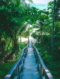 Naiton Beach Wooden Bridge