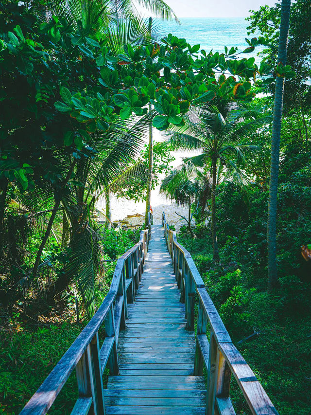 Naiton Beach Wooden Bridge