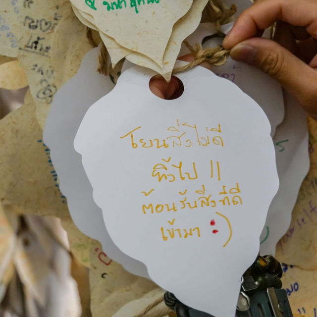คุณกลัวความแก่ไหม?