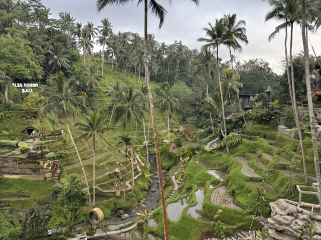 Alas Harum & Tegallalang Rice Terraces: Ubud's Iconic Beauty! 🌾✨