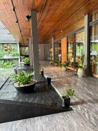 Urban Jungle Meets Luxe Comfort at Ad Li