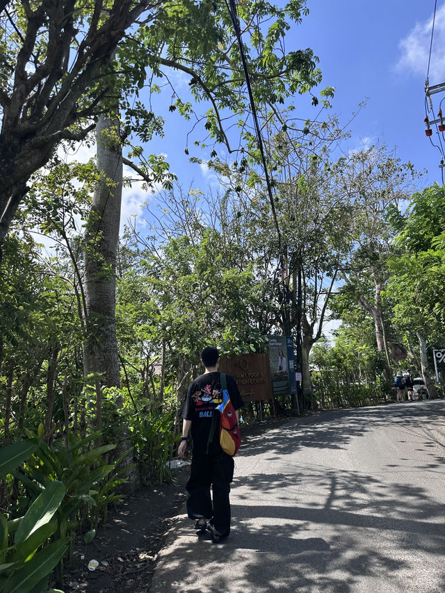 울루와뚜 햇살 아래 걷다가 조용히 들어선 % Arabica.