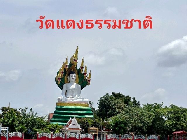 นั่งเรือ⛴️ชมแม่น้ำเจ้าพระยา นนทบุรี