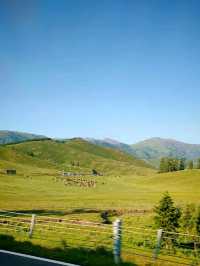 Kanas: Scenery on the Way Back