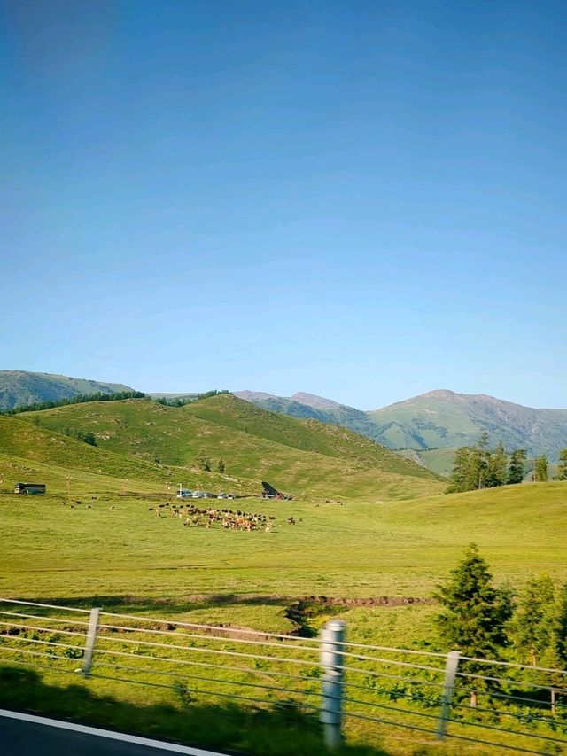 Kanas: Scenery on the Way Back
