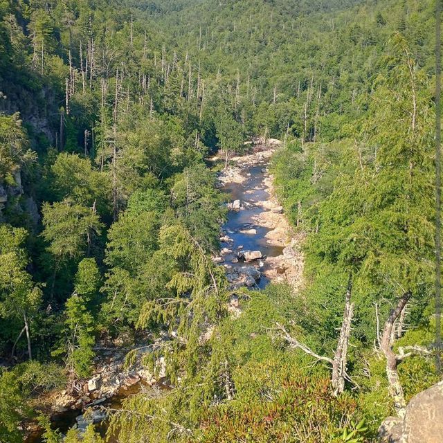 Linville Gorge & Falls