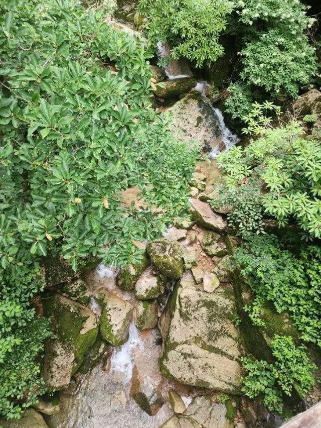 “The Whispering Stream of Huangshan”