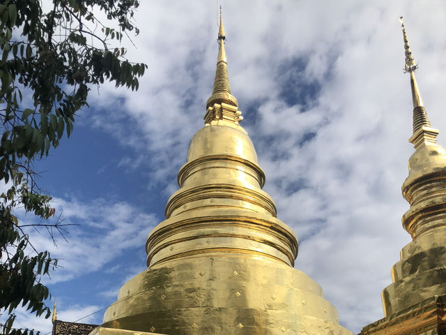 ชมหมอกที่เชียงใหม่🤍