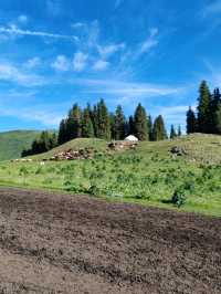 A Horseback Journey to Fairy Lake