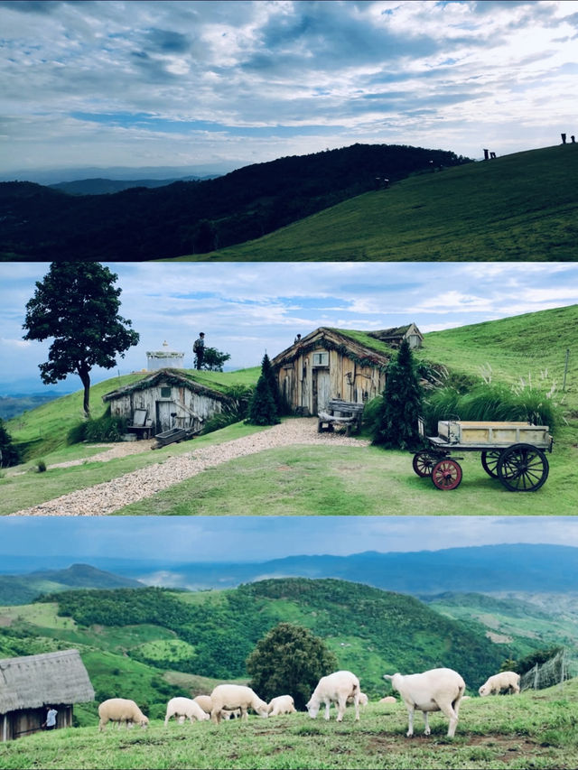 ฟาร์มแกะ ดอยช้าง 🐑⛰️😂