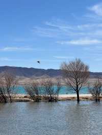 Whispers of the Wind: Qinghai Lake’s Eternal Peace