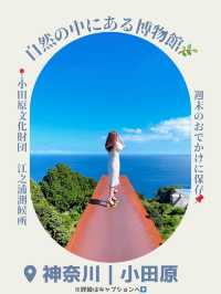 🖼知る人ぞ知る！自然の中にある博物館 in 小田原🖼
