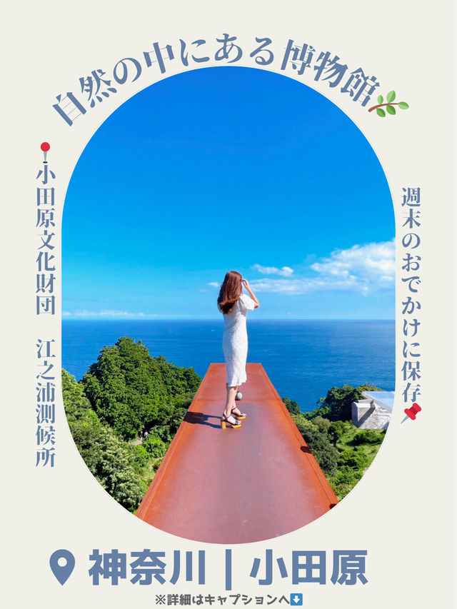 🖼知る人ぞ知る！自然の中にある博物館 in 小田原🖼