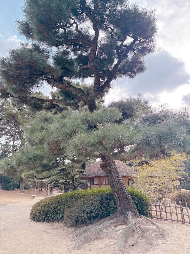 高松必去 - 栗林公園  感受江戶時代風情🌳