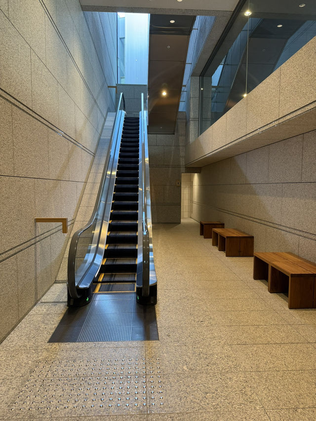 【東京】東京都現代美術館 【東京】東京都現代美術館