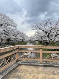 Toyama เมืองที่ห้อมล้อมด้วยภูเขา!