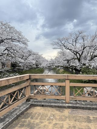 Toyama, a city surrounded by mountains!