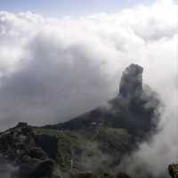 Foggy Fanjingshan, Straight Out of a Dream
