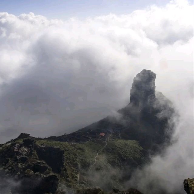 Foggy Fanjingshan, Straight Out of a Dream