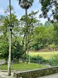 Beneath the Bloom: Discovering the Sunken Garden in Perdana