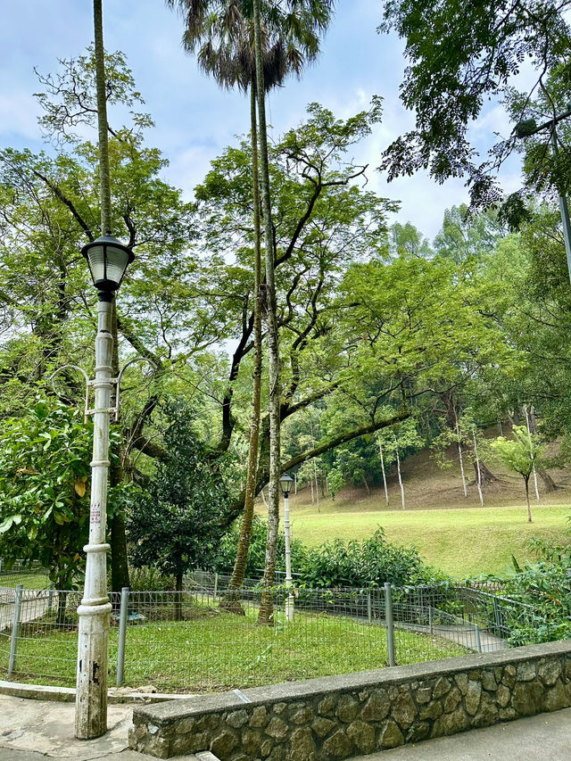 Beneath the Bloom: Discovering the Sunken Garden in Perdana