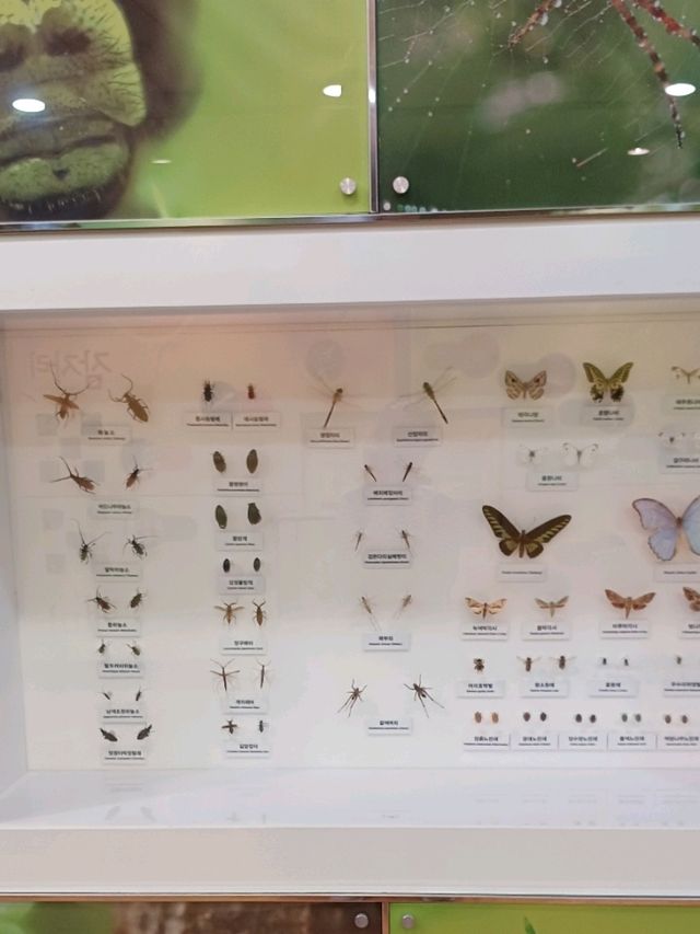 공룡부터 이순신까지! 지루할 틈 없는 고성 여행지