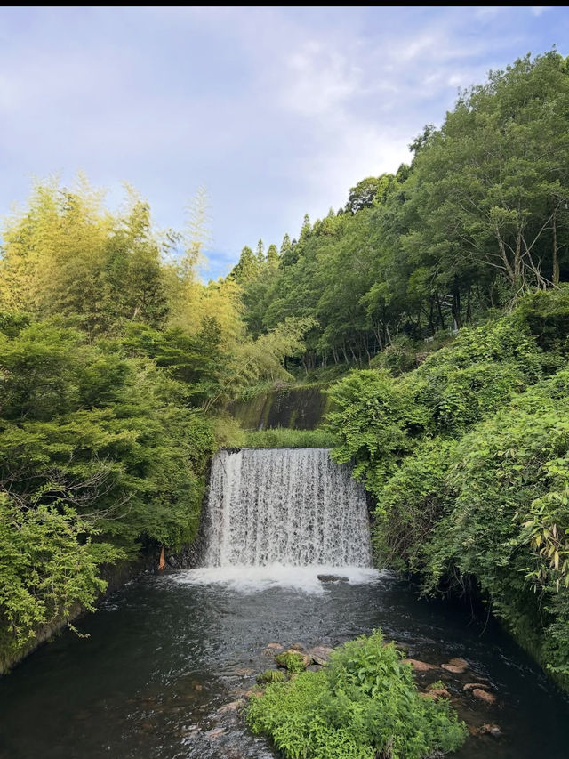 【黒川温泉】湯めぐりで心も体もとろける、癒しの温泉街♨️🌙
